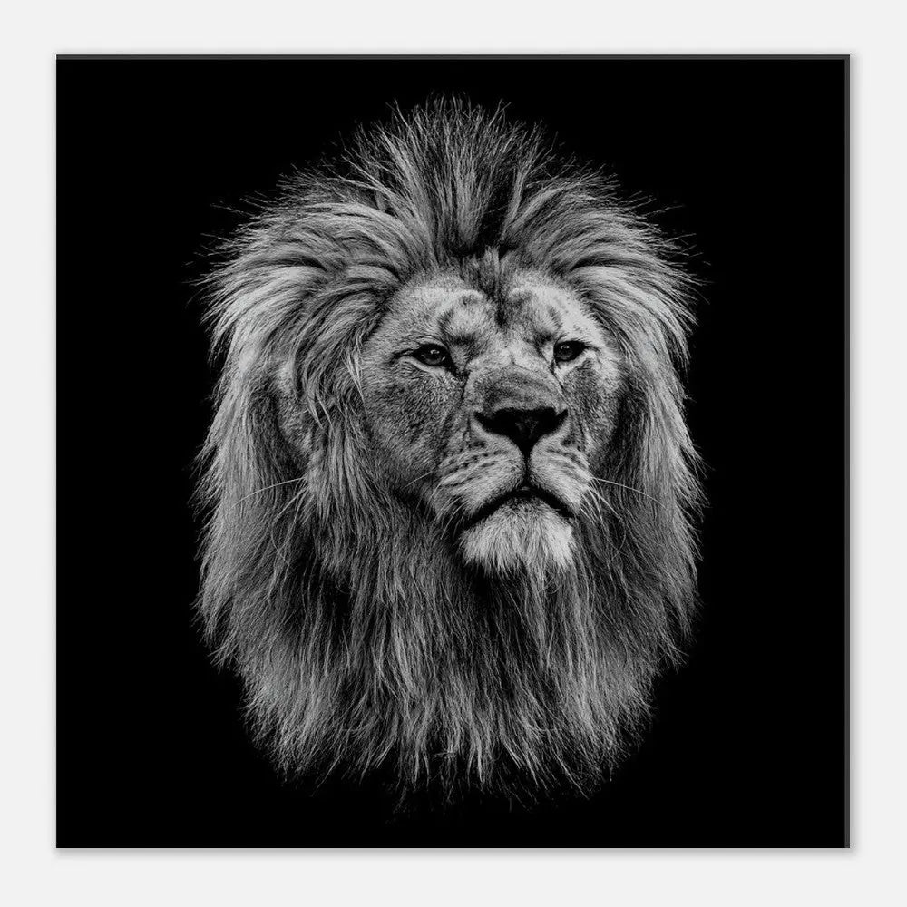 Black and White Lion Wall Art, Majestic Lion Canvas Print, Powerful Wildlife Decor, Thick Frame Artwork for Home or Office - Hustle and Soul