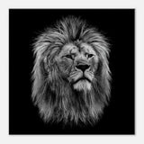 Black and White Lion Wall Art, Majestic Lion Canvas Print, Powerful Wildlife Decor, Thick Frame Artwork for Home or Office - Hustle and Soul