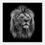 Black and White Lion Wall Art, Majestic Lion Canvas Print, Powerful Wildlife Decor, Thick Frame Artwork for Home or Office - Hustle and Soul