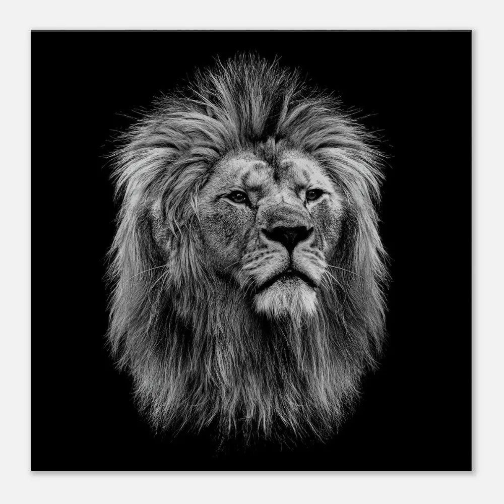 Black and White Lion Wall Art, Majestic Lion Canvas Print, Powerful Wildlife Decor, Thick Frame Artwork for Home or Office - Hustle and Soul