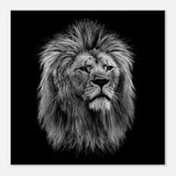 Black and White Lion Wall Art, Majestic Lion Canvas Print, Powerful Wildlife Decor, Thick Frame Artwork for Home or Office - Hustle and Soul